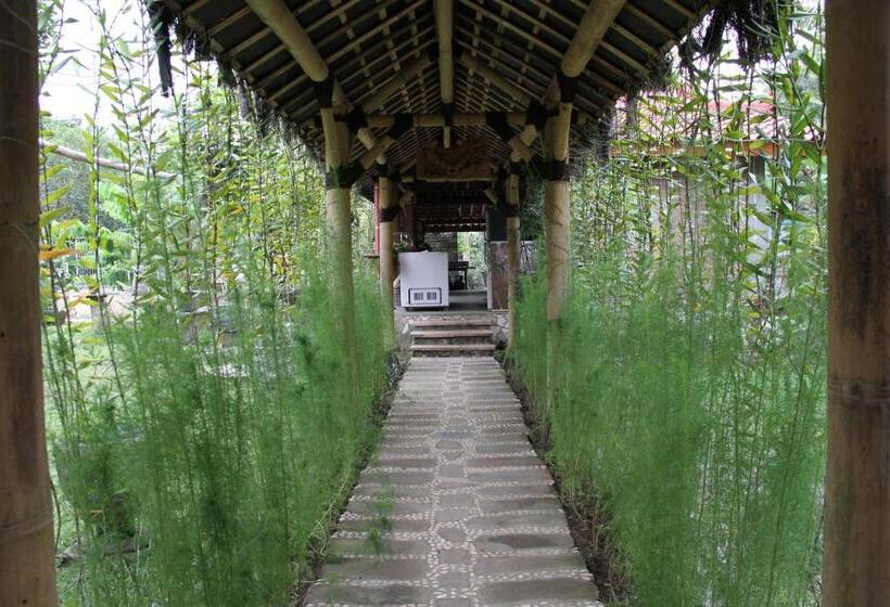 스탠다드 싱글 룸, Omah Garengpoeng