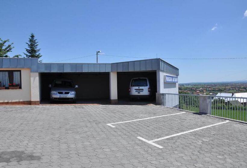 חדר סטנדרט, Pansion Antonio