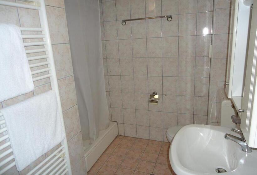 חדר סטנדרט יחיד, Pansion Antonio