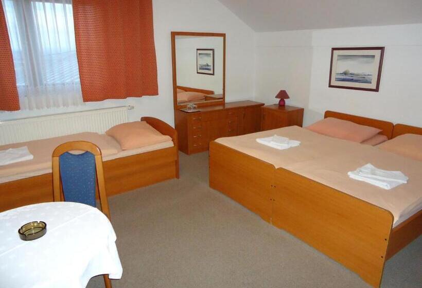 スタンダードトリプルルーム, Pansion Antonio