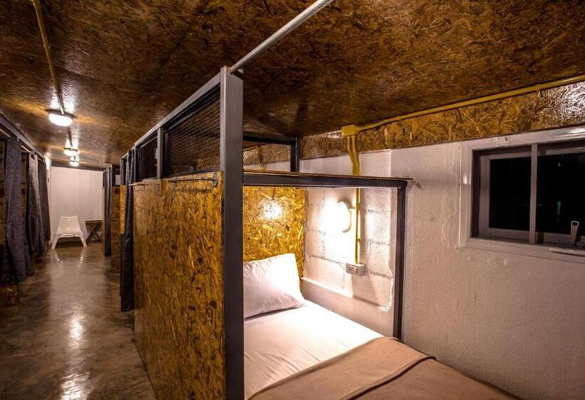 Säng i Delat Rum, Loft Hostel Koh Tao