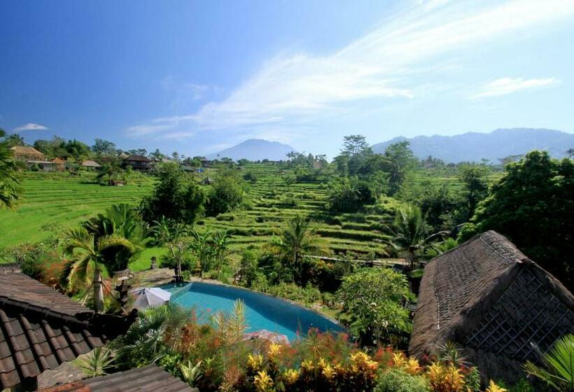 חדר משפחתי, Abian Ayu Villa