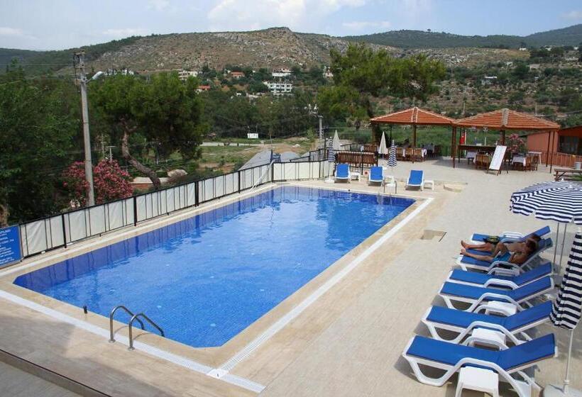 １ベッドルームドゥプレックスアパートメント, Apollon