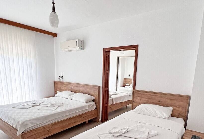 スタンダードルーム, Apollon