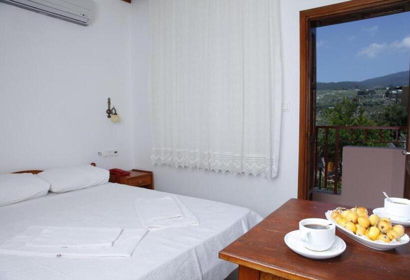 スタンダードルーム, Apollon