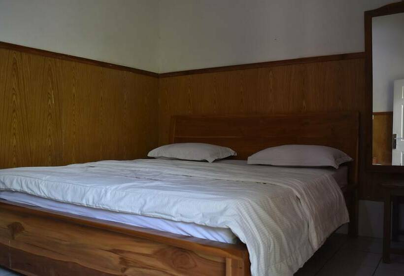 Номер Deluxe, Bajo