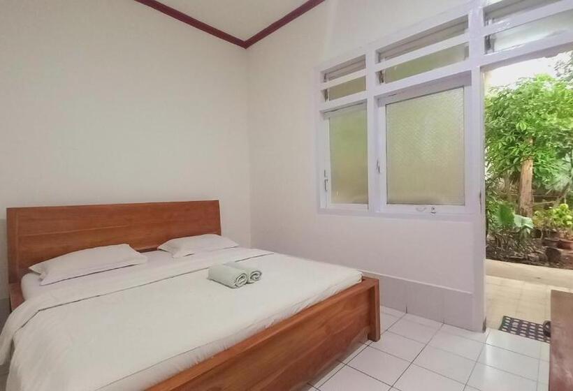 Номер Deluxe, Bajo