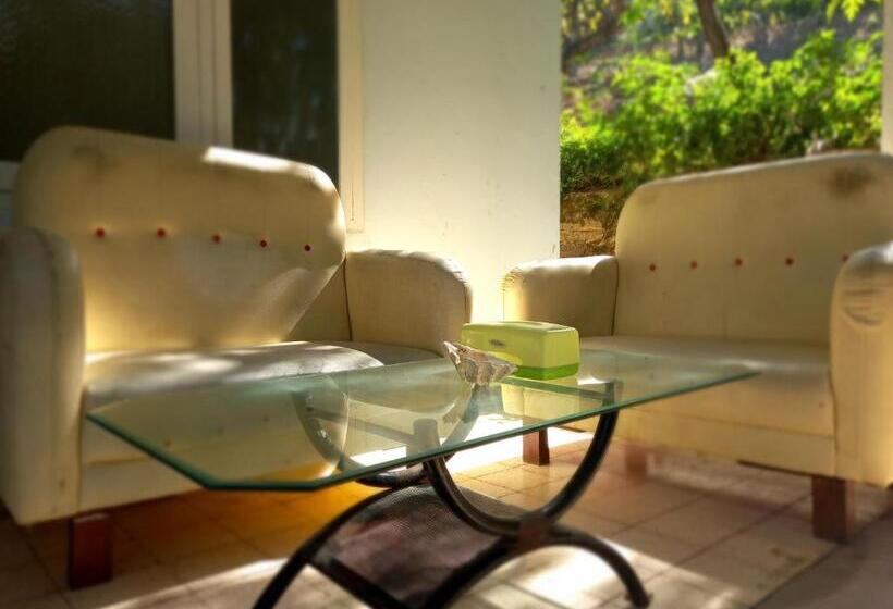 Номер Deluxe, Bajo