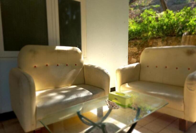 Номер Deluxe, Bajo