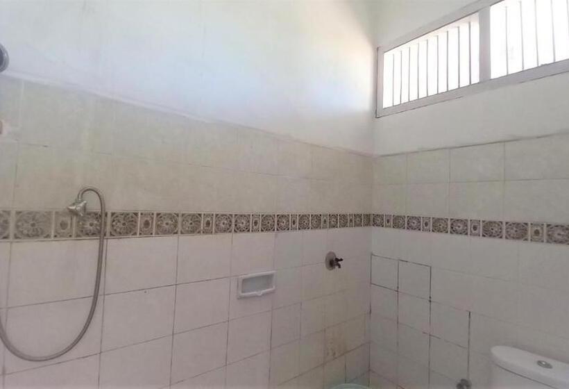 Номер Superior, Bajo