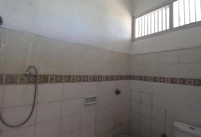 غرفة سوبيريور, Bajo