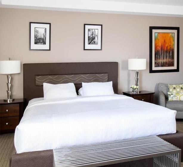 スーペリアースイート, Retro Suites