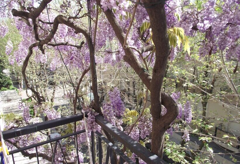 バルコニー付きスタンダードルーム, Albergo Villa Lucia