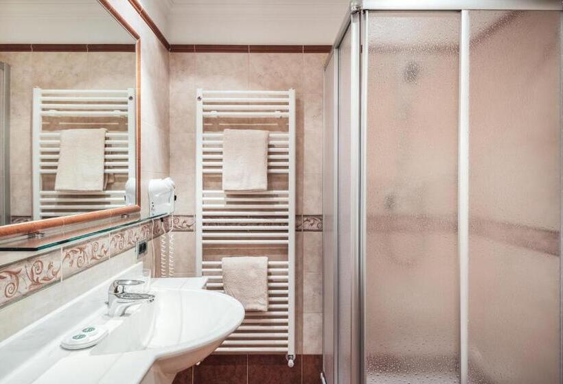 חדר סטנדרט יחיד, Berghotel Majarei