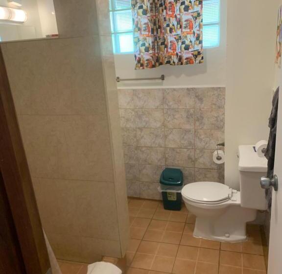 غرفة قياسية, All Seasons Belize