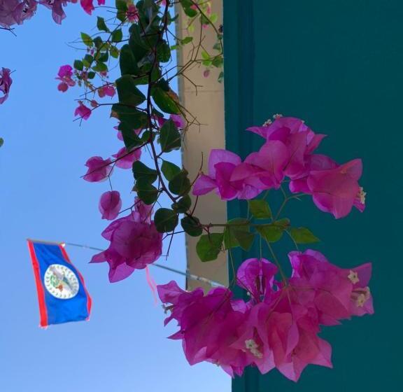 غرفة قياسية مطلّة علي الحديقة, All Seasons Belize
