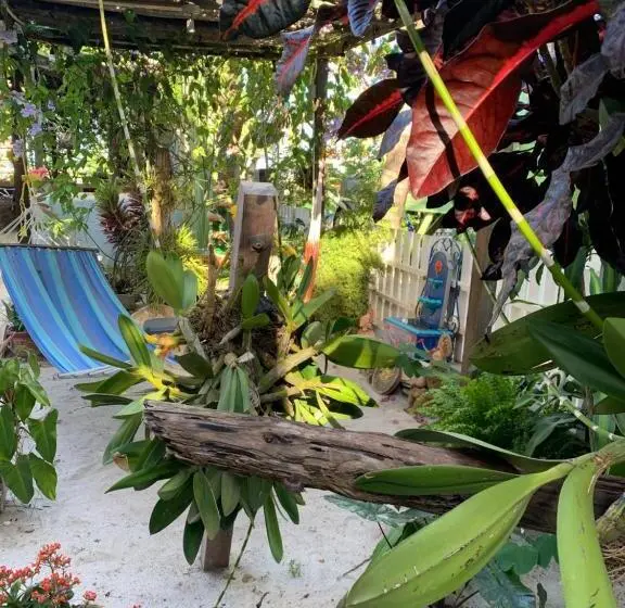 اتاق استاندارد با چشمانداز باغ, All Seasons Belize
