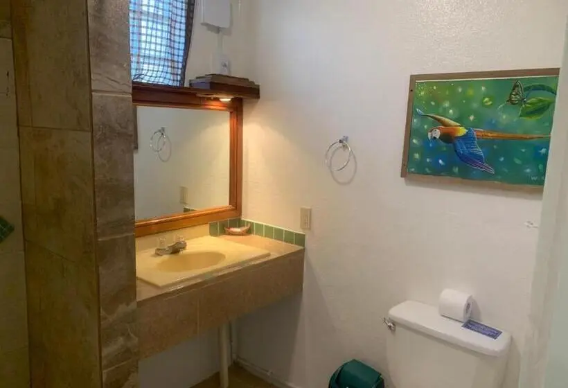 اتاق استاندارد با چشمانداز باغ, All Seasons Belize