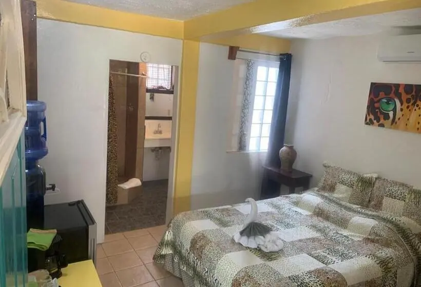 اتاق لوکس, All Seasons Belize