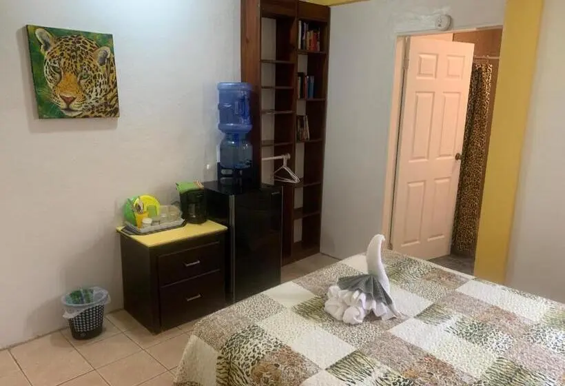 اتاق لوکس, All Seasons Belize