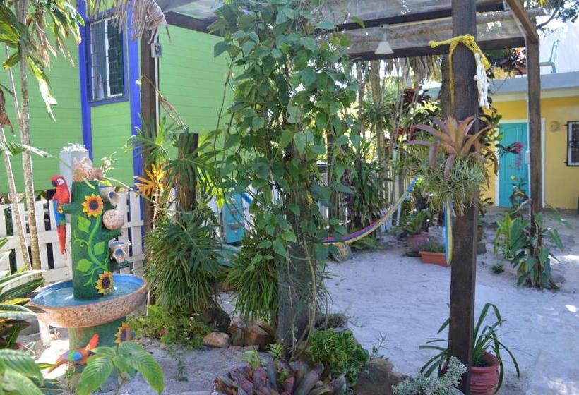 غرفة ديلوكس مطلّة علي البحر, All Seasons Belize