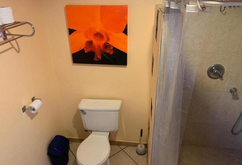 غرفة قياسية مطلّة علي الحديقة, All Seasons Belize