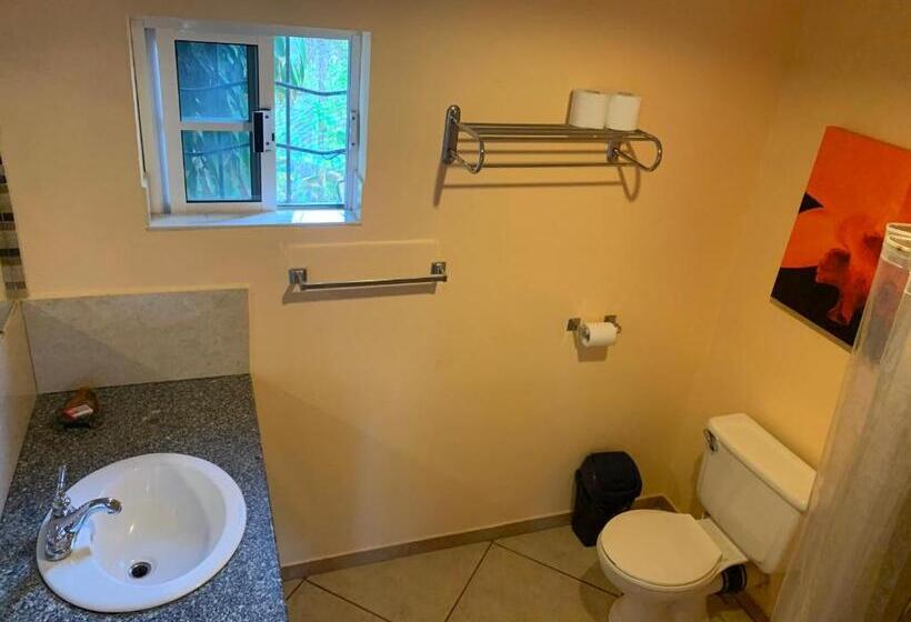 غرفة قياسية مطلّة علي الحديقة, All Seasons Belize