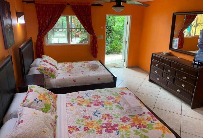 غرفة قياسية مطلّة علي الحديقة, All Seasons Belize