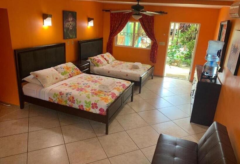 غرفة قياسية مطلّة علي الحديقة, All Seasons Belize