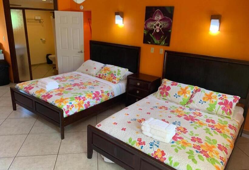 غرفة قياسية مطلّة علي الحديقة, All Seasons Belize