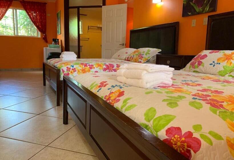 Номер Стандарт Вид на Сад, All Seasons Belize