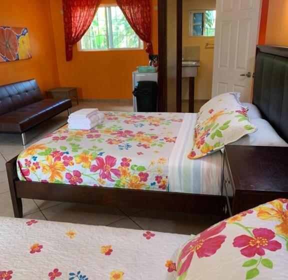 غرفة قياسية مطلّة علي الحديقة, All Seasons Belize