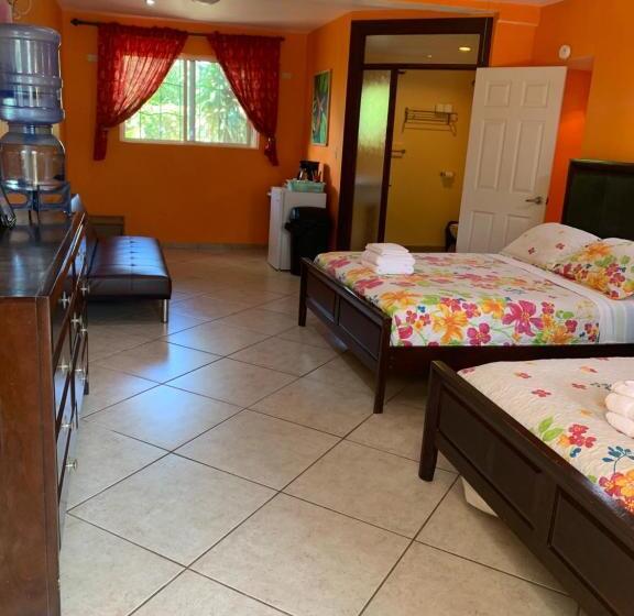 غرفة قياسية مطلّة علي الحديقة, All Seasons Belize