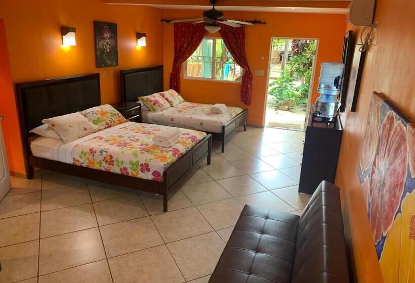 غرفة قياسية مطلّة علي الحديقة, All Seasons Belize