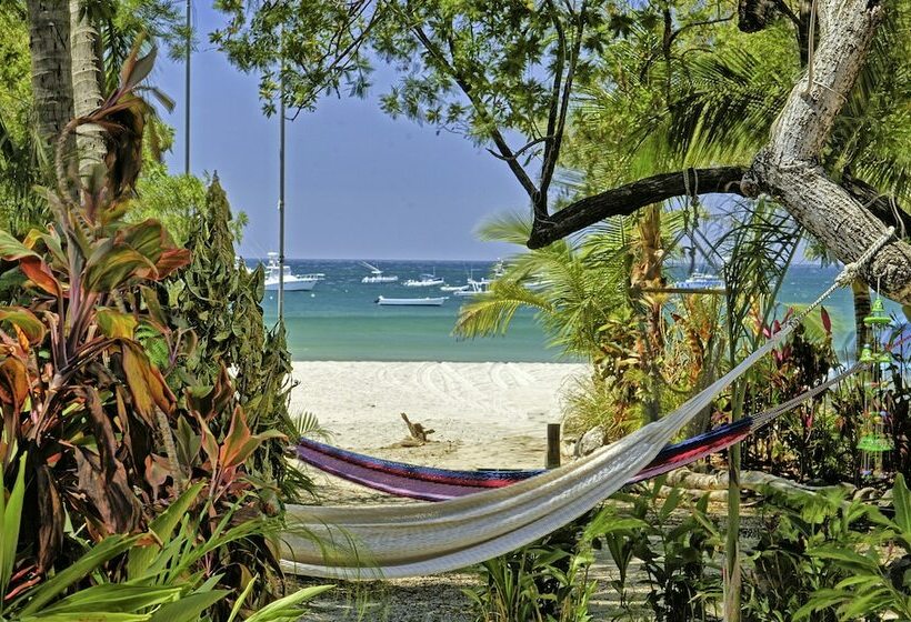 标准平房, Ocho Artisan Bungalows