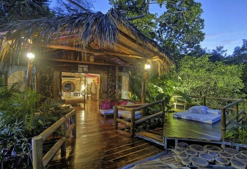 标准平房, Ocho Artisan Bungalows