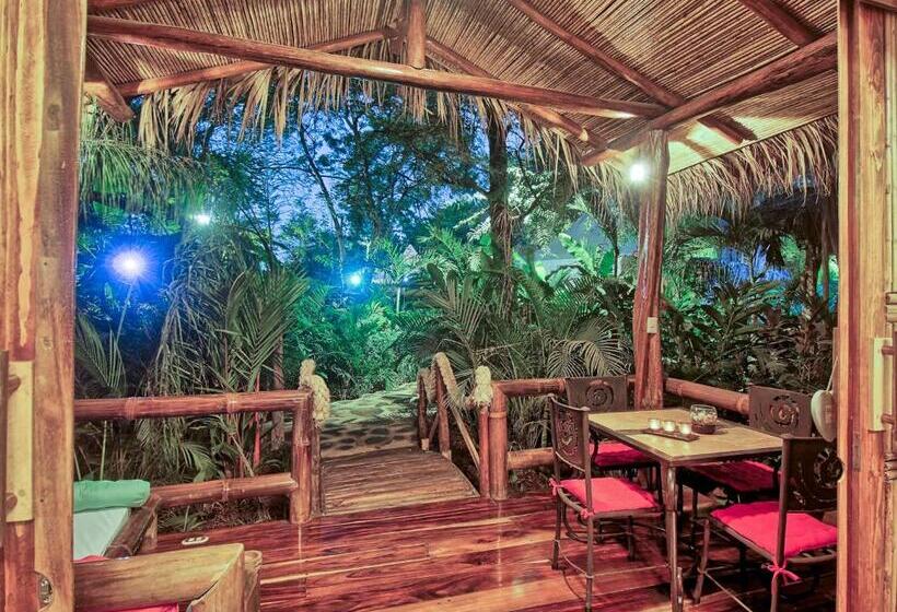 标准平房, Ocho Artisan Bungalows