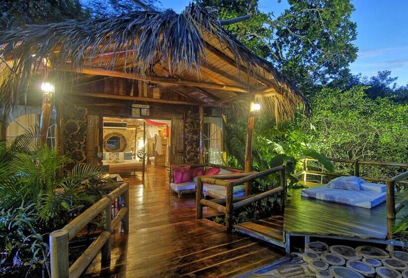 标准平房, Ocho Artisan Bungalows