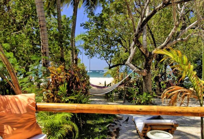 带3个卧室的别墅, Ocho Artisan Bungalows