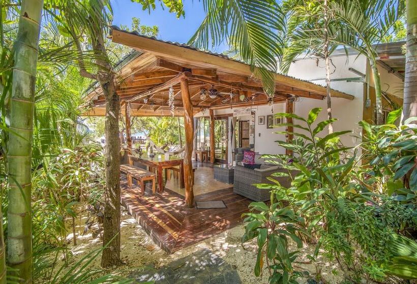 豪华两卧别墅, Ocho Artisan Bungalows