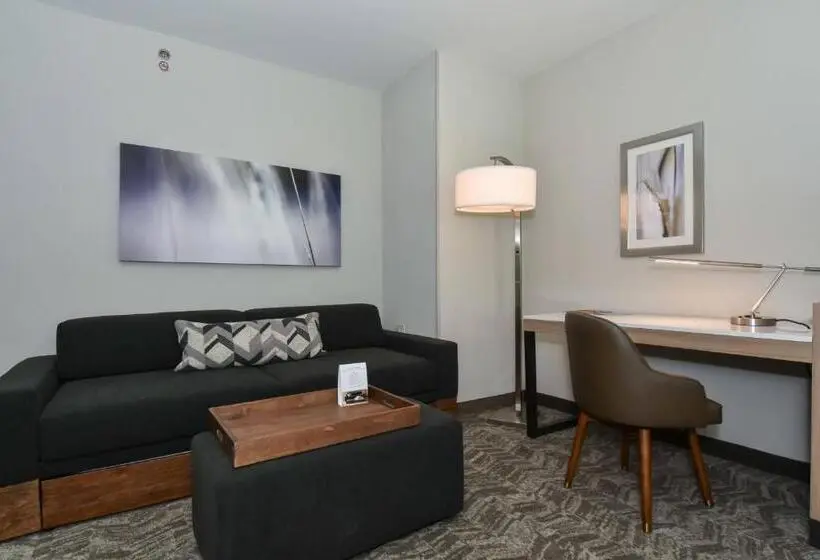 Standard-studio King-vuode, Springhill Suites By Marriott Charlotte City Center