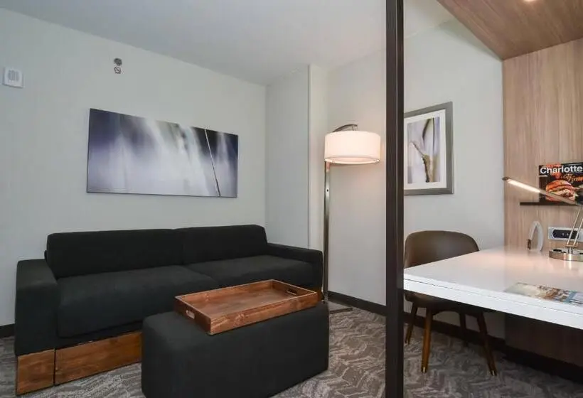 Standard-studio, Springhill Suites By Marriott Charlotte City Center