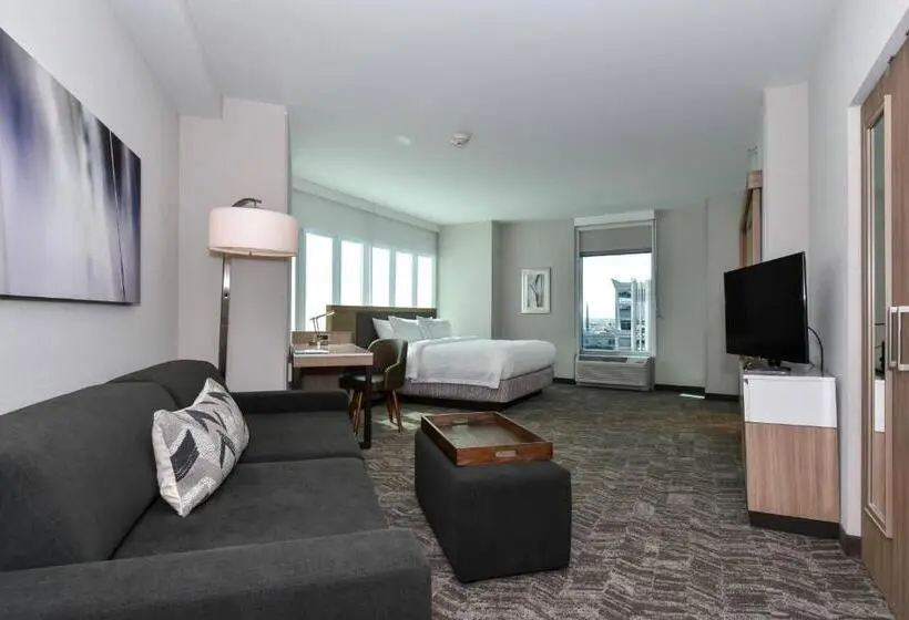 Standard-huone King-vuode, Springhill Suites By Marriott Charlotte City Center