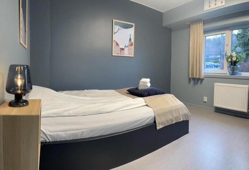 Quarto Estandar para Deficientes Físicos, Emma Gjestehus