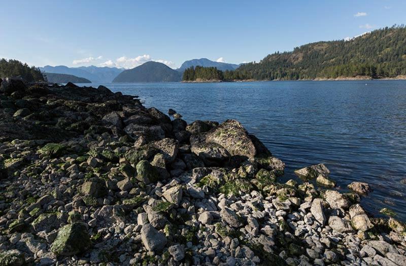 Standard Værelse m. Havudsigt, Backeddy Resort And Marina