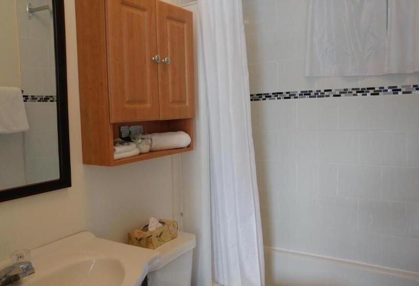 带2个双人床的标准工作室, Motel De L'outlet