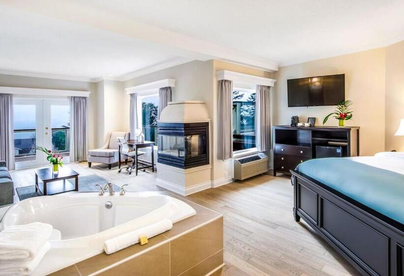 高级套房, Villa Eyrie Resort