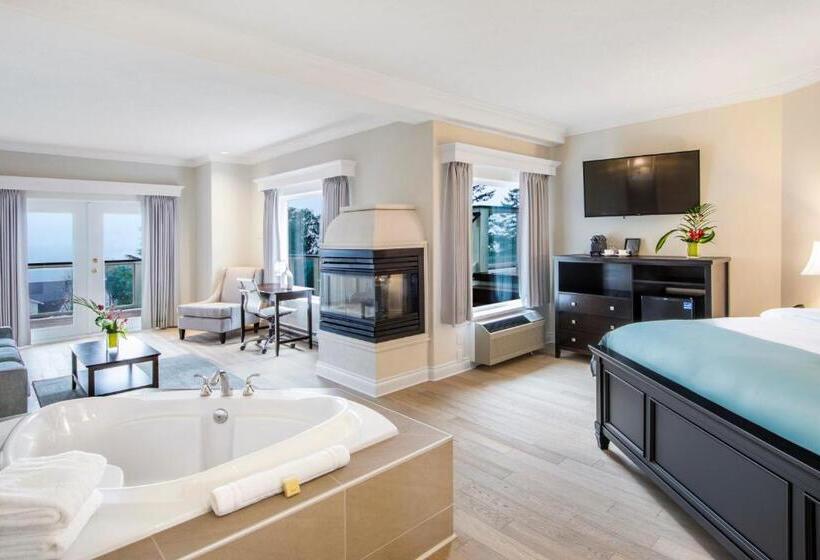 高级套房, Villa Eyrie Resort