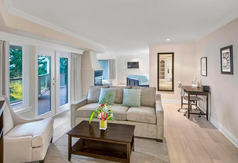 高级套房, Villa Eyrie Resort