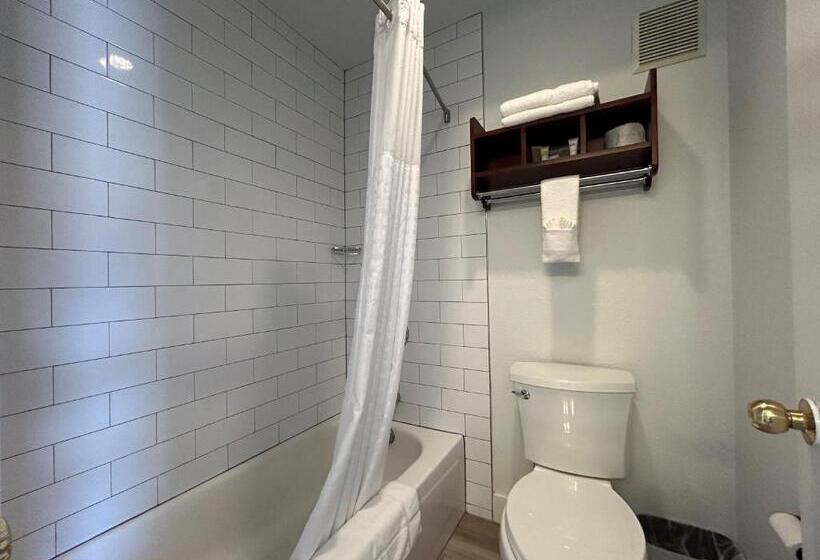 غرفة قياسية سرير كينج, Four Sevens Motel